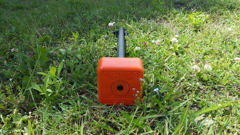 2 Ribozenklis P1 su apsauga